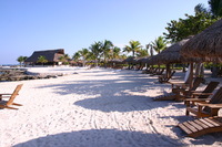 Canon EOS DIGITAL REBEL, 2007:12:25 11:00:53 -- 1/200 sec, f/8.0.  No Flash.3072x2048 Off.