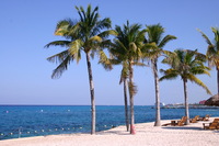 Canon EOS DIGITAL REBEL, 2007:12:25 11:08:27 -- 1/200 sec, f/10.0.  No Flash.3072x2048 Off.