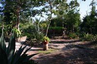 Canon EOS DIGITAL REBEL, 2007:12:25 11:21:18 -- 1/125 sec, f/7.1.  No Flash.3072x2048 Off.