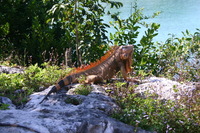 Canon EOS DIGITAL REBEL, 2007:12:25 13:47:31 -- 1/125 sec, f/8.0.  No Flash.3072x2048 Off.