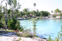 Canon EOS DIGITAL REBEL, 2007:12:25 13:47:54 -- 1/100 sec, f/8.0.  No Flash.3072x2048 Off.