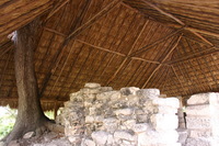 Canon EOS DIGITAL REBEL, 2007:12:29 11:27:23 -- 1/80 sec, f/5.6.  No Flash.3072x2048 Off.