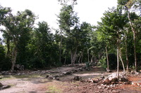 Canon EOS DIGITAL REBEL, 2007:12:29 11:44:59 -- 1/125 sec, f/7.1.  No Flash.3072x2048 Off.