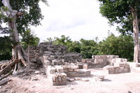 Canon EOS DIGITAL REBEL, 2007:12:29 11:55:28 -- 1/125 sec, f/7.1.  No Flash.3072x2048 Off.