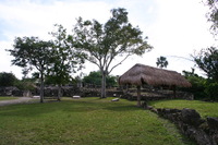 Canon EOS DIGITAL REBEL, 2007:12:29 12:03:18 -- 1/500 sec, f/14.0.  No Flash.3072x2048 Off.