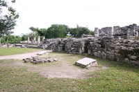 Canon EOS DIGITAL REBEL, 2007:12:29 12:04:00 -- 1/320 sec, f/10.0.  No Flash.3072x2048 Off.