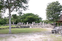 Canon EOS DIGITAL REBEL, 2007:12:29 12:05:26 -- 1/250 sec, f/11.0.  No Flash.3072x2048 Off.