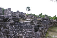 Canon EOS DIGITAL REBEL, 2007:12:29 12:05:33 -- 1/320 sec, f/10.0.  No Flash.3072x2048 Off.