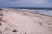 Canon EOS DIGITAL REBEL, 2007:12:29 12:38:24 -- 1/400 sec, f/11.0.  No Flash.3072x2048 Off.