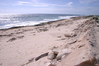 Canon EOS DIGITAL REBEL, 2007:12:29 12:38:32 -- 1/320 sec, f/11.0.  No Flash.3072x2048 Off.