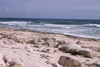 Canon EOS DIGITAL REBEL, 2007:12:29 12:39:27 -- 1/320 sec, f/13.0.  No Flash.3072x2048 Off.