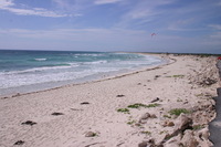 Canon EOS DIGITAL REBEL, 2007:12:29 12:58:08 -- 1/400 sec, f/11.0.  No Flash.3072x2048 Off.