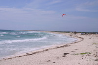 Canon EOS DIGITAL REBEL, 2007:12:29 12:58:11 -- 1/250 sec, f/14.0.  No Flash.3072x2048 Off.