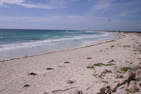 Canon EOS DIGITAL REBEL, 2007:12:29 12:58:19 -- 1/400 sec, f/11.0.  No Flash.3072x2048 Off.