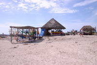 Canon EOS DIGITAL REBEL, 2007:12:29 13:08:59 -- 1/250 sec, f/11.0.  No Flash.3072x2048 Off.