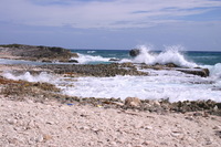 Canon EOS DIGITAL REBEL, 2007:12:29 13:09:23 -- 1/250 sec, f/13.0.  No Flash.3072x2048 Off.