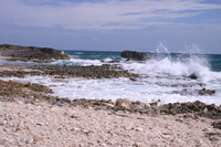 Canon EOS DIGITAL REBEL, 2007:12:29 13:09:24 -- 1/250 sec, f/13.0.  No Flash.3072x2048 Off.