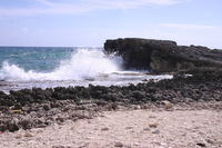 Canon EOS DIGITAL REBEL, 2007:12:29 13:09:34 -- 1/250 sec, f/11.0.  No Flash.3072x2048 Off.