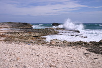 Canon EOS DIGITAL REBEL, 2007:12:29 13:09:43 -- 1/250 sec, f/13.0.  No Flash.3072x2048 Off.