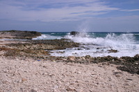 Canon EOS DIGITAL REBEL, 2007:12:29 13:09:45 -- 1/320 sec, f/13.0.  No Flash.3072x2048 Off.