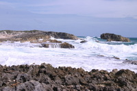 Canon EOS DIGITAL REBEL, 2007:12:29 13:10:17 -- 1/250 sec, f/11.0.  No Flash.3072x2048 Off.