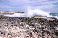 Canon EOS DIGITAL REBEL, 2007:12:29 13:10:21 -- 1/250 sec, f/10.0.  No Flash.3072x2048 Off.