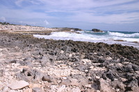 Canon EOS DIGITAL REBEL, 2007:12:29 13:10:28 -- 1/250 sec, f/10.0.  No Flash.3072x2048 Off.