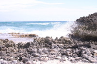 Canon EOS DIGITAL REBEL, 2007:12:29 13:10:43 -- 1/125 sec, f/9.0.  No Flash.3072x2048 Off.