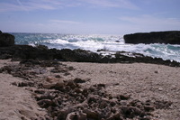 Canon EOS DIGITAL REBEL, 2007:12:29 13:10:58 -- 1/400 sec, f/11.0.  No Flash.3072x2048 Off.