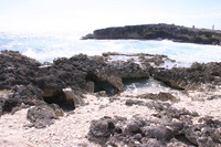 Canon EOS DIGITAL REBEL, 2007:12:29 13:11:21 -- 1/200 sec, f/8.0.  No Flash.3072x2048 Off.