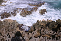 Canon EOS DIGITAL REBEL, 2007:12:29 13:11:51 -- 1/320 sec, f/10.0.  No Flash.3072x2048 Off.