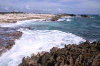 Canon EOS DIGITAL REBEL, 2007:12:29 13:12:05 -- 1/320 sec, f/10.0.  No Flash.3072x2048 Off.