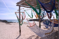 Canon EOS DIGITAL REBEL, 2007:12:29 13:12:58 -- 1/250 sec, f/10.0.  No Flash.3072x2048 Off.