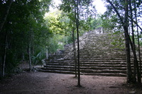 Canon EOS DIGITAL REBEL, 2007:12:31 09:35:41 -- 1/30 sec, f/3.5.  No Flash.3072x2048 Off.