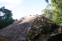 Canon EOS DIGITAL REBEL, 2007:12:31 09:36:34 -- 1/80 sec, f/5.0.  No Flash.3072x2048 Off.