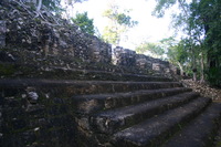 Canon EOS DIGITAL REBEL, 2007:12:31 09:37:30 -- 1/40 sec, f/4.0.  No Flash.3072x2048 Off.