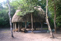 Canon EOS DIGITAL REBEL, 2007:12:31 09:55:26 -- 1/15 sec, f/4.0.  No Flash.3072x2048 Off.