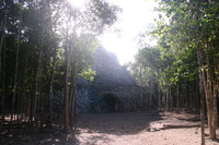 Canon EOS DIGITAL REBEL, 2007:12:31 10:37:50 -- 1/100 sec, f/5.6.  No Flash.3072x2048 Off.