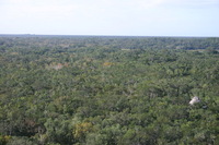 Canon EOS DIGITAL REBEL, 2007:12:31 10:58:09 -- 1/125 sec, f/8.0.  No Flash.3072x2048 Off.