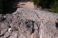 Canon EOS DIGITAL REBEL, 2007:12:31 10:58:39 -- 1/250 sec, f/9.0.  No Flash.3072x2048 Off.