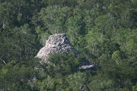 Canon EOS DIGITAL REBEL, 2007:12:31 11:12:18 -- 1/320 sec, f/5.6.  No Flash.3072x2048 Off.