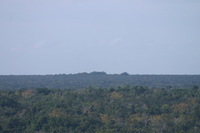 Canon EOS DIGITAL REBEL, 2007:12:31 11:12:27 -- 1/400 sec, f/7.1.  No Flash.3072x2048 Off.