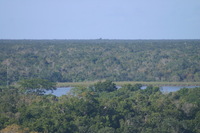 Canon EOS DIGITAL REBEL, 2007:12:31 11:12:35 -- 1/400 sec, f/6.3.  No Flash.3072x2048 Off.