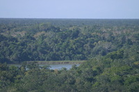 Canon EOS DIGITAL REBEL, 2007:12:31 11:12:40 -- 1/320 sec, f/6.3.  No Flash.3072x2048 Off.