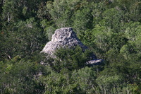 Canon EOS DIGITAL REBEL, 2007:12:31 11:13:54 -- 1/200 sec, f/7.1.  No Flash.3072x2048 Off.