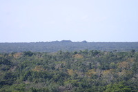 Canon EOS DIGITAL REBEL, 2007:12:31 11:14:00 -- 1/320 sec, f/6.3.  No Flash.3072x2048 Off.