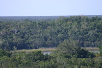 Canon EOS DIGITAL REBEL, 2007:12:31 11:14:08 -- 1/320 sec, f/6.3.  No Flash.3072x2048 Off.