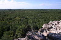 Canon EOS DIGITAL REBEL, 2007:12:31 11:17:29 -- 1/200 sec, f/8.0.  No Flash.3072x2048 Off.