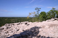 Canon EOS DIGITAL REBEL, 2007:12:31 11:17:34 -- 1/250 sec, f/10.0.  No Flash.3072x2048 Off.