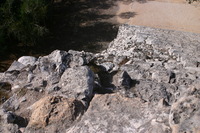 Canon EOS DIGITAL REBEL, 2007:12:31 11:34:13 -- 1/160 sec, f/7.1.  No Flash.3072x2048 Off.